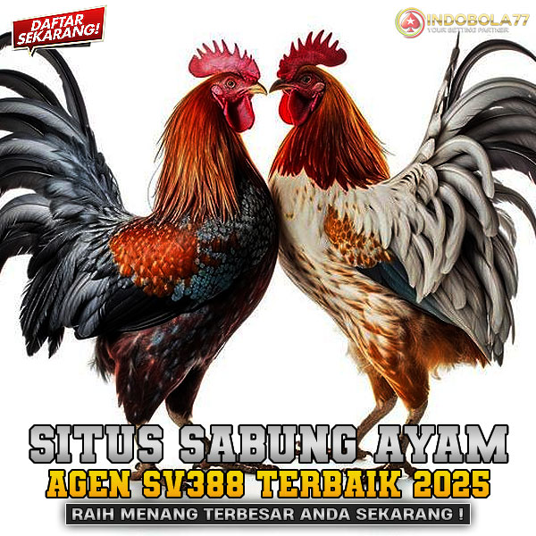 Khám Phá Thế Giới Đầy Mê Hoặc Của xsmb mới nhất - Nơi Tụ Hội Đam Mê Cược