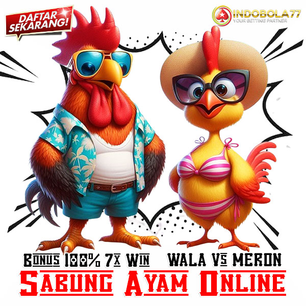 SV388 🐭 Situs Sabung Ayam Online Resmi Agen Taruhan Judi Wala Meron